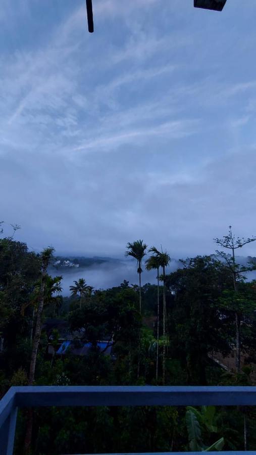 Greenpepperhomestay Munnar Anaviratty Exterior foto