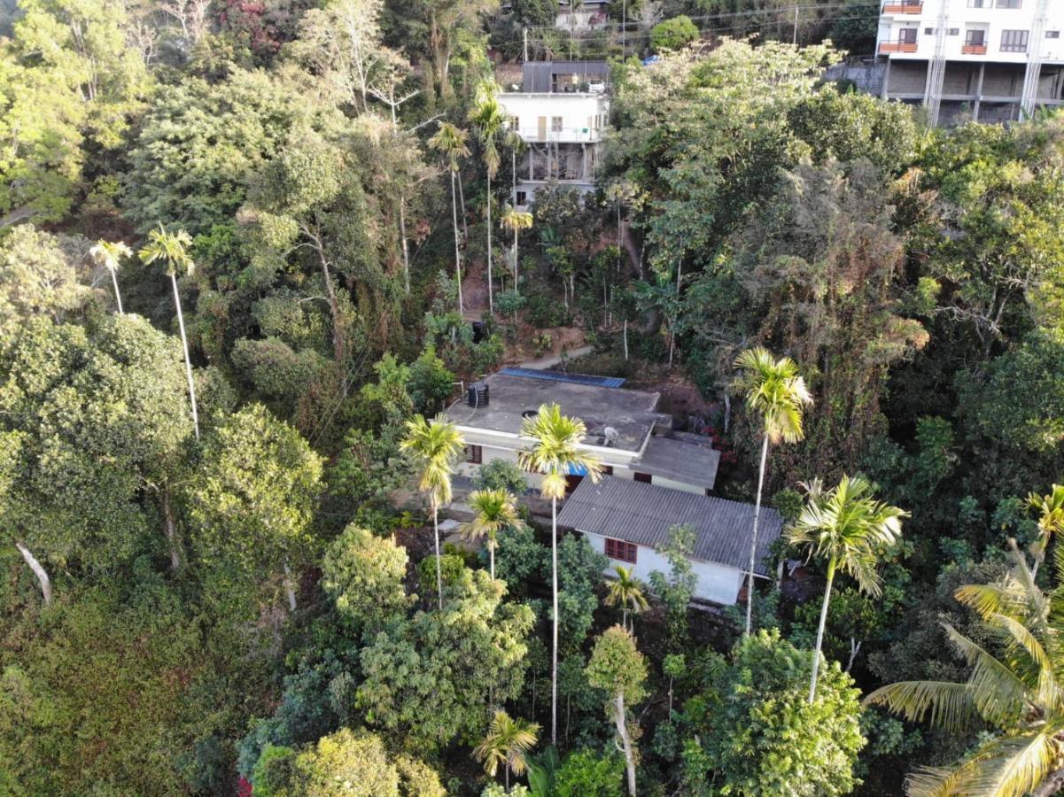 Greenpepperhomestay Munnar Anaviratty Exterior foto